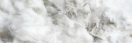 Recycled cotton